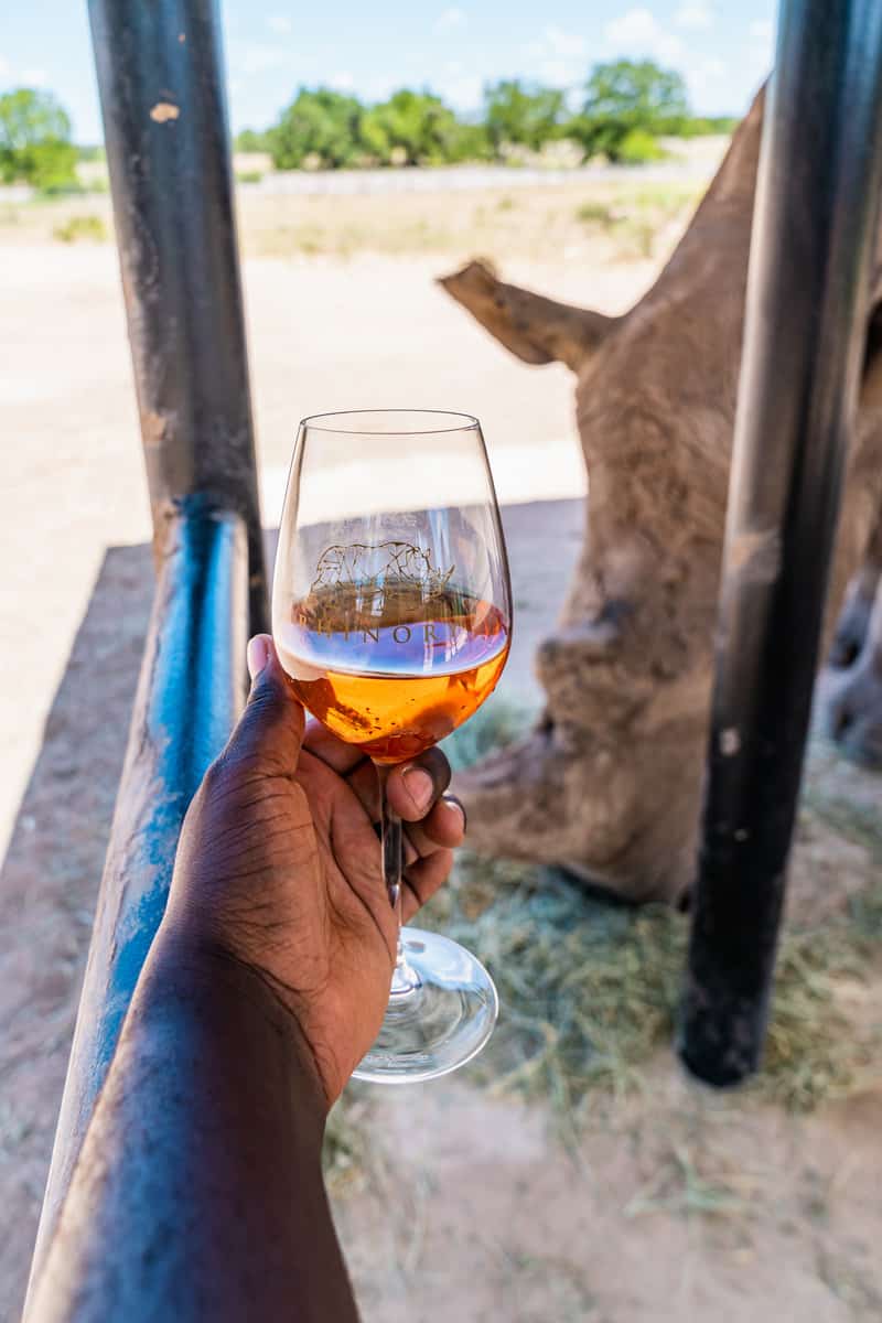 A wineglass with wine with a rhino on the background.