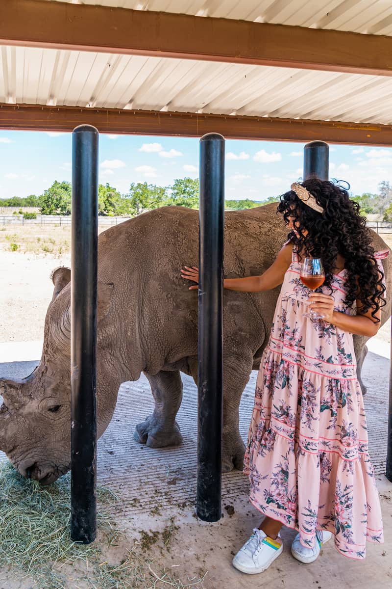A woman holding glass of wine in a dress gently pets a rhino