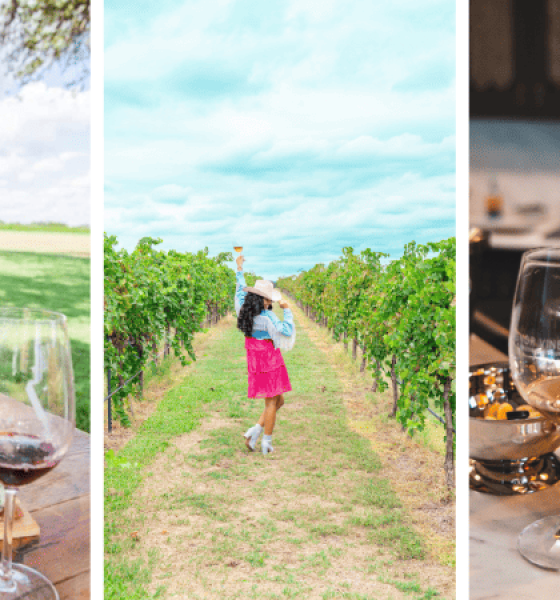 Top Fredericksburg Wineries to Visit in the Summer