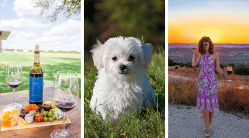 dog friendly wineries in fredericksburg