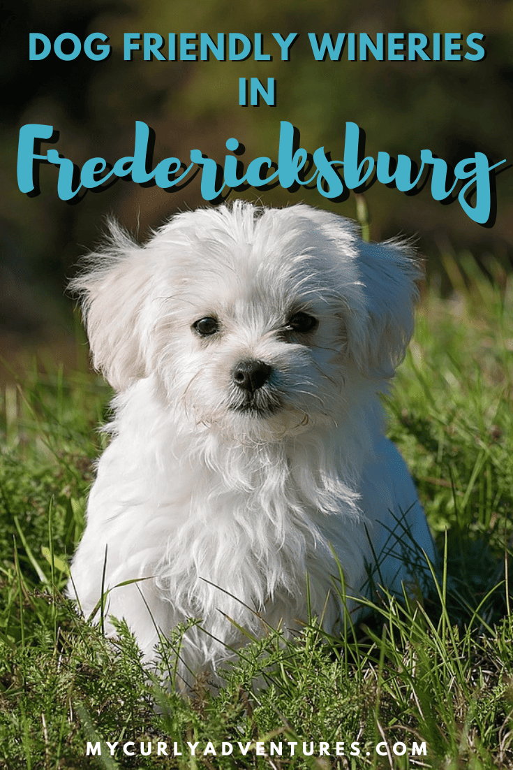 dog friendly wineries in fredericksburg