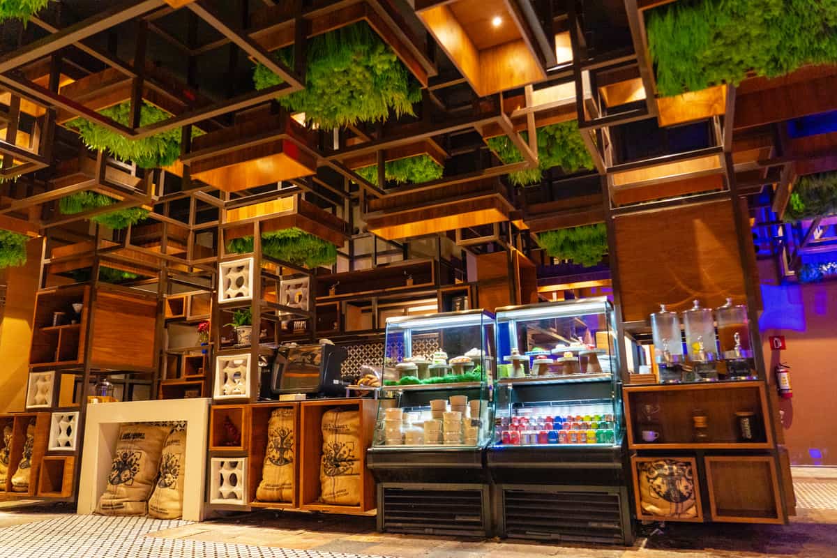 Interior of a coffee shop adorned with hanging plants.