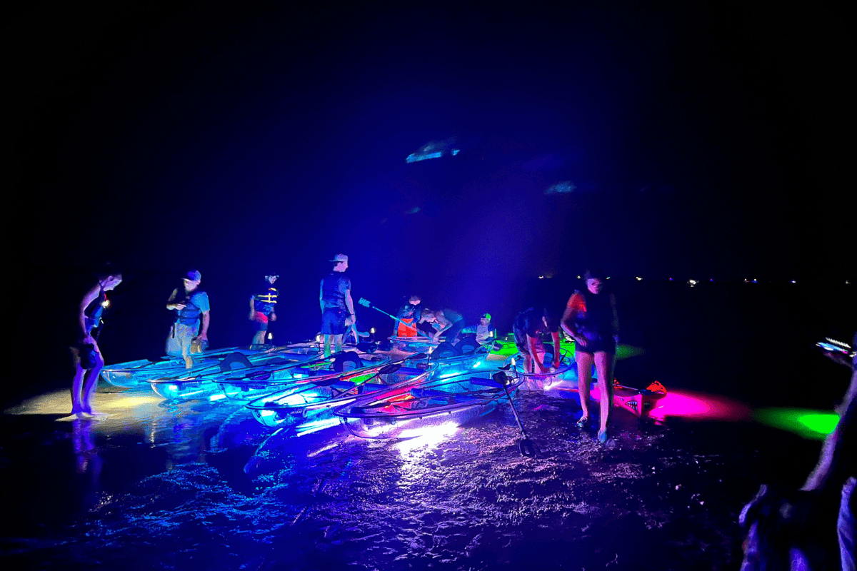 Clear Kayaks with colorful lights at night.