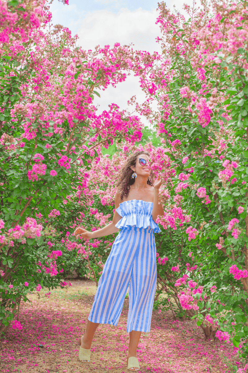 A woman in blue stripe jump suit enjoying the colorfull flowers in bloom