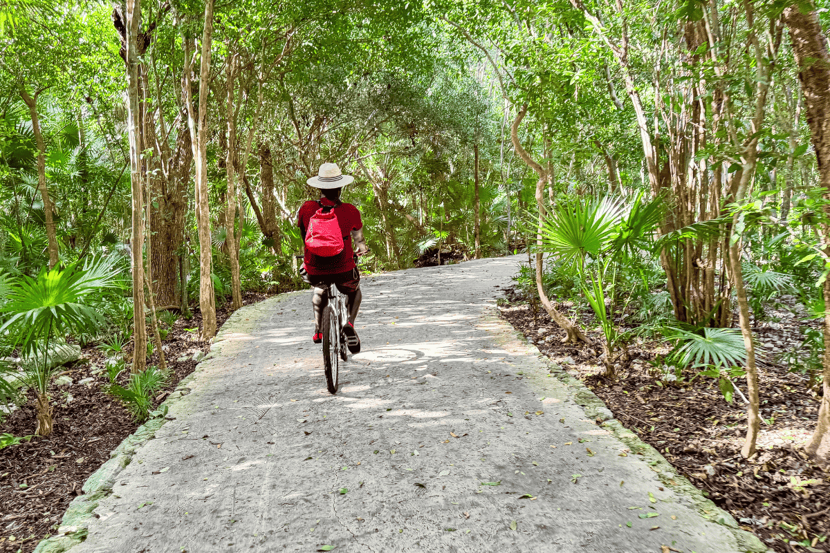 A person on a bike navigating a forest path, surrounded by towering trees