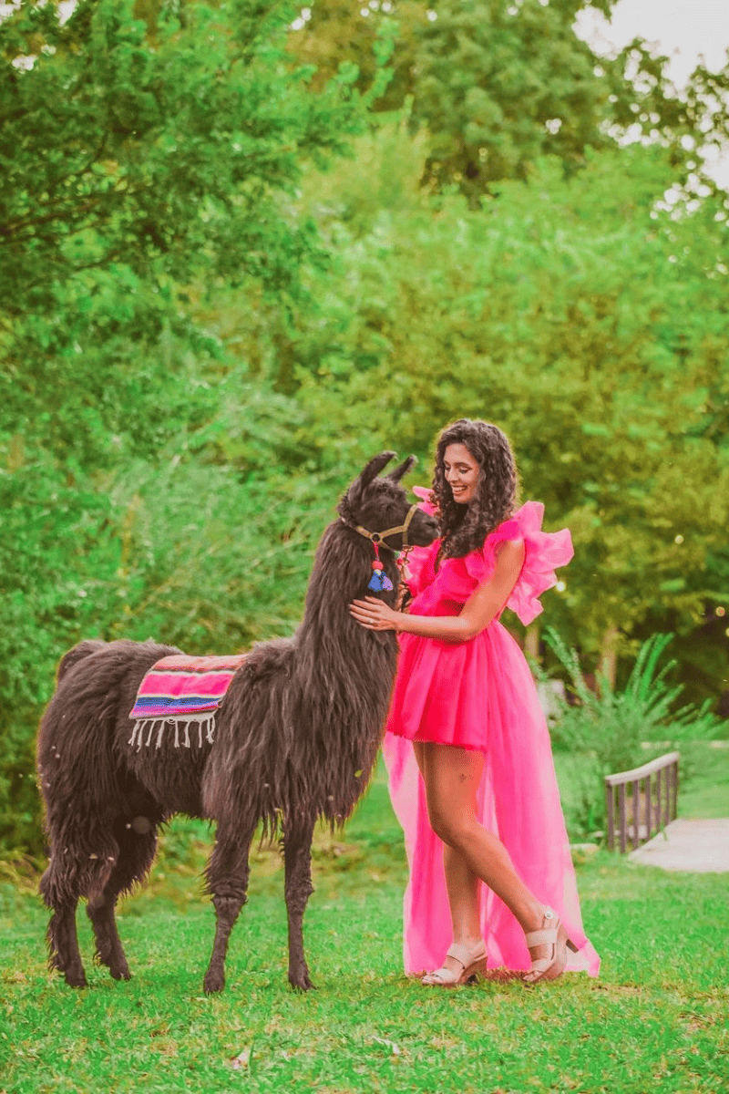 A woman in a pink dress stands beside a llama, creating a charming and colorful scene.