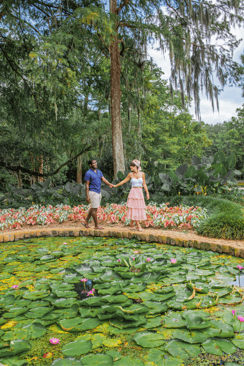 A lovely couple having a walk beside a lily pond.