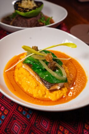 La Casa de la Playa Review My Curly Adventures