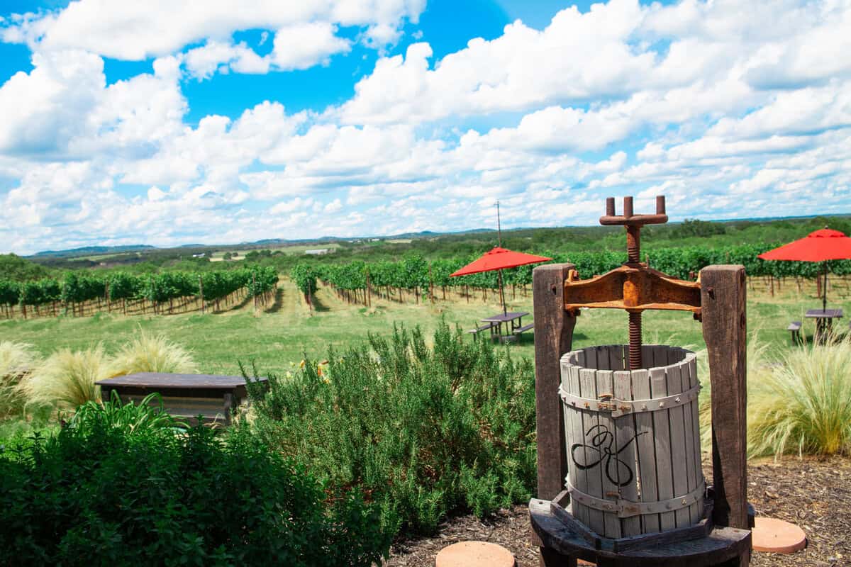 a vineyard with a wooden barrel and a red umbrella