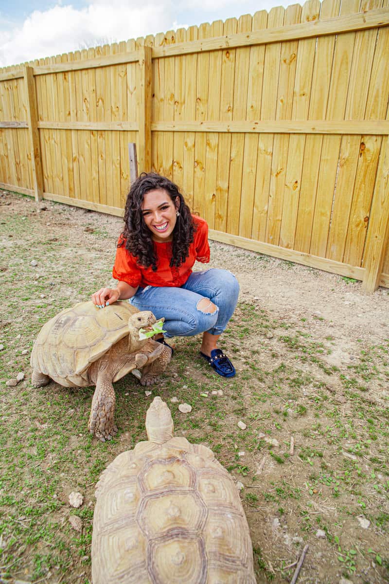 Woman kneels to affectionately pet a tortoise on the ground.