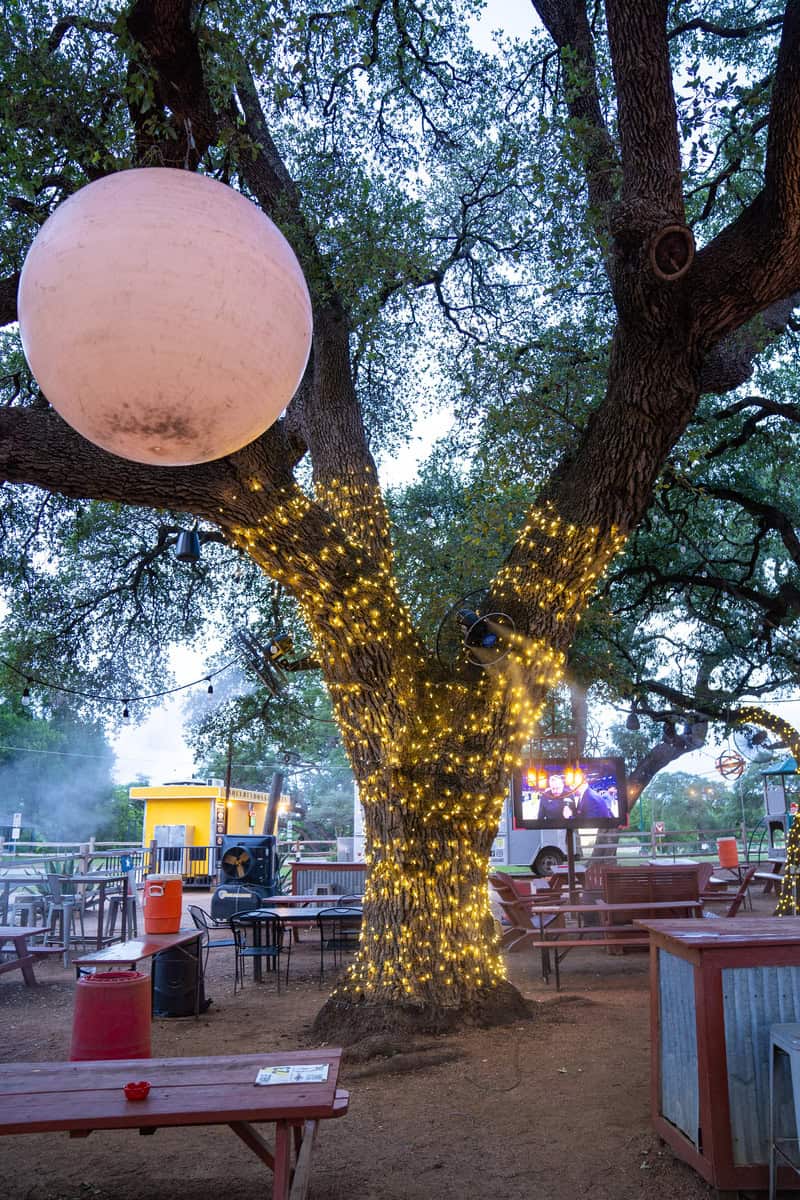 a tree with lights on it