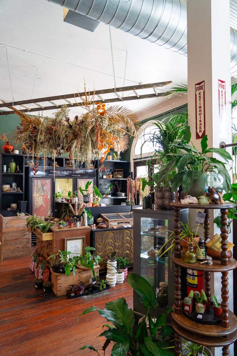 a room with plants and a wood floor