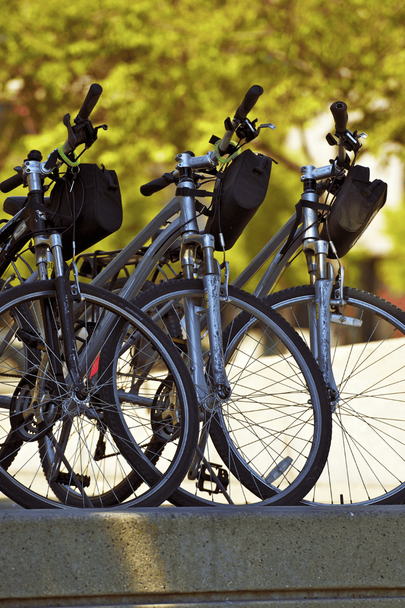 A row of bicycles neatly parked.