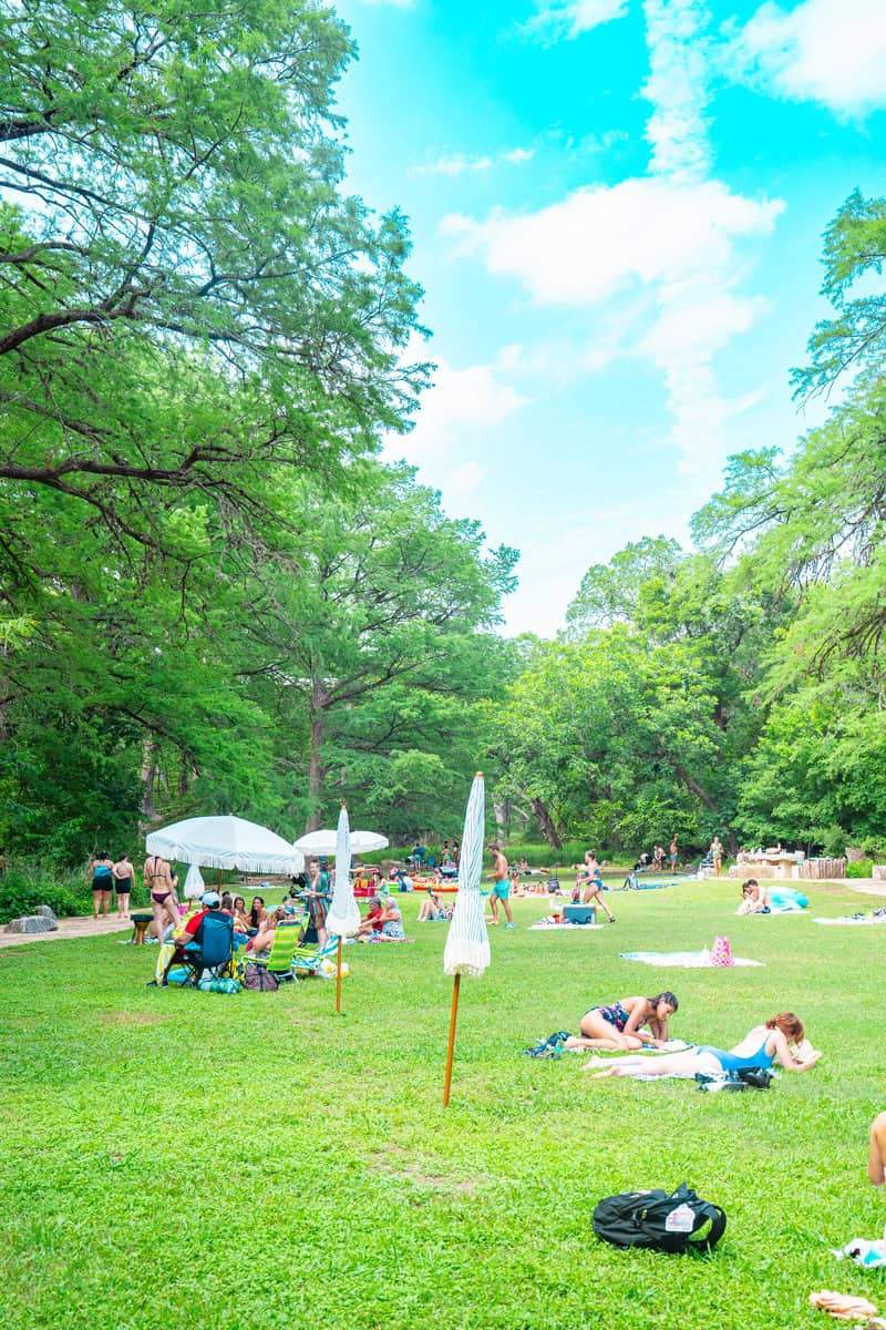 A diverse group of people enjoying a sunny day, sitting together in a lush green field.