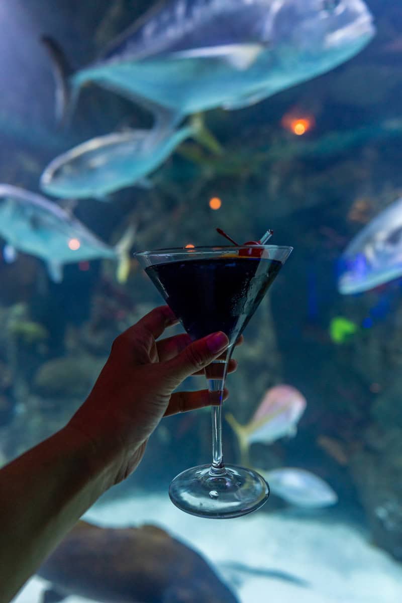 A person holding a glass of wine in front of a fish tank