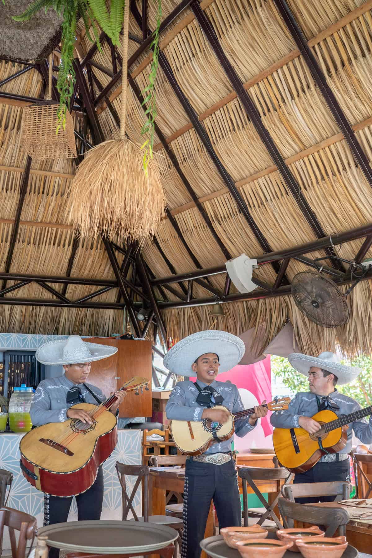 a group of men playing instruments under a straw roof