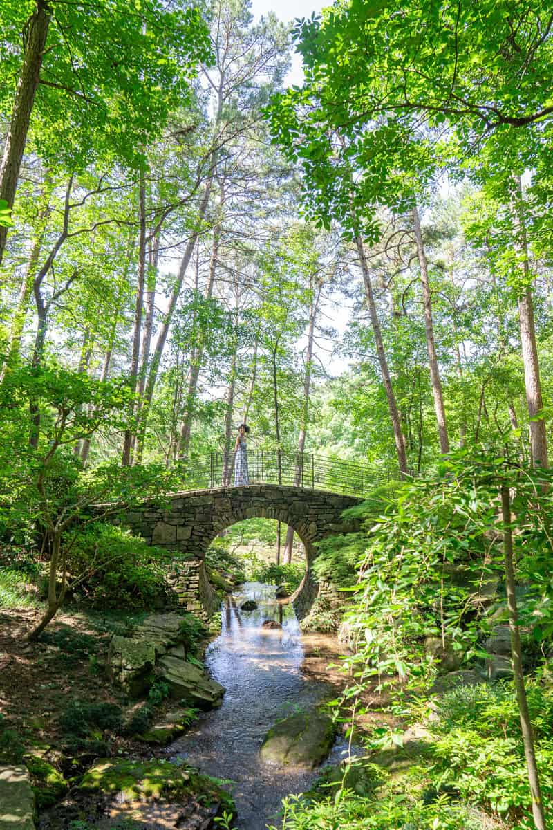 a woman standing on a bridge over a stream in a forest