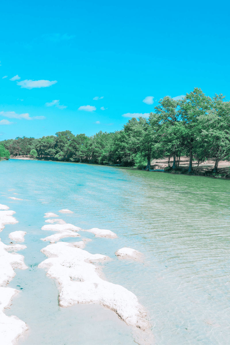 a river with trees and rocks