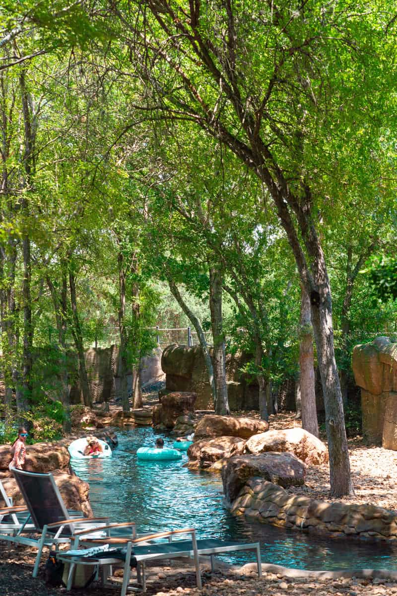 Tranquil pool with trees in the background