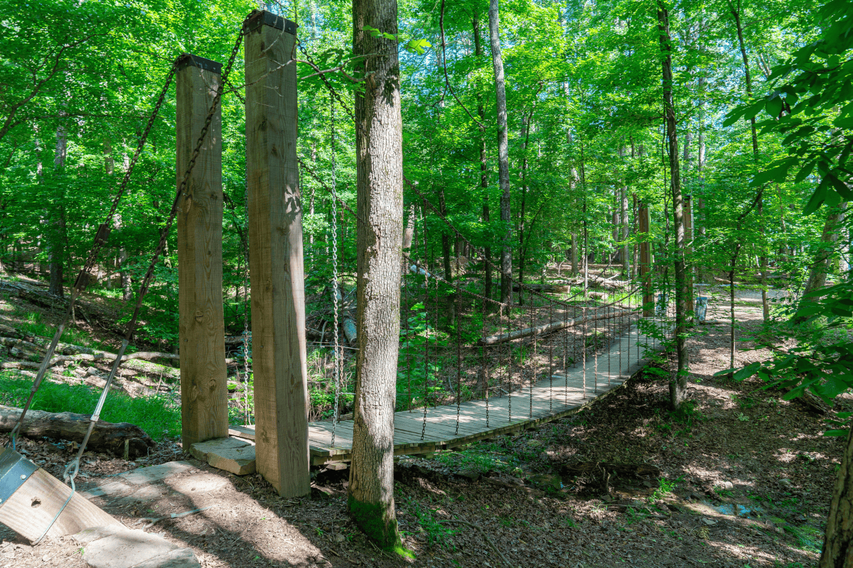 a bridge in the woods