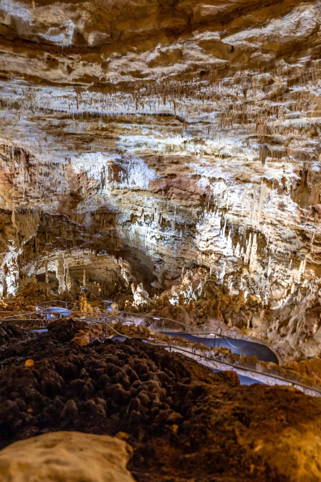Free Things to Do During Spring Break in TX