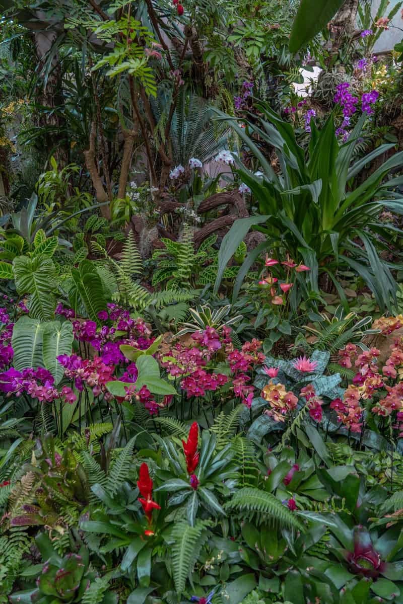  Beautiful flower landscape inside a botanical garden