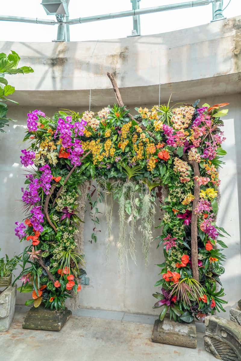  Beautiful flower arch inside a botanical garden, vibrant colors, nature indoors.