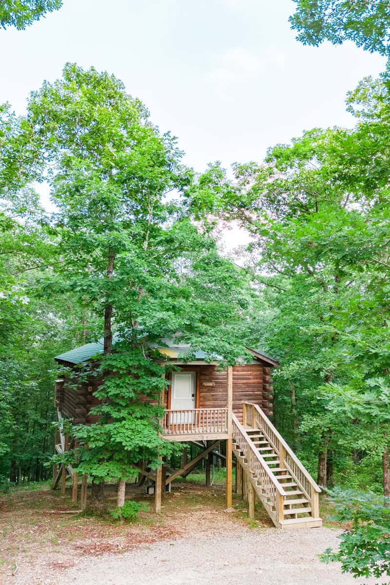 A charming tree house hidden in a forest.