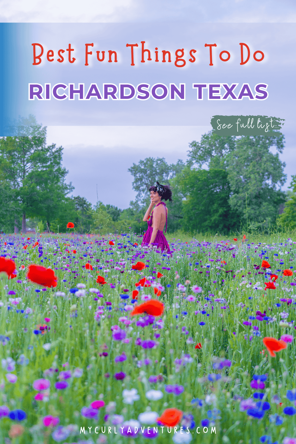 richardson texas fun things to do