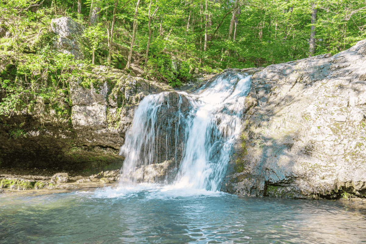 A serene waterfall cascading through the lush woods.