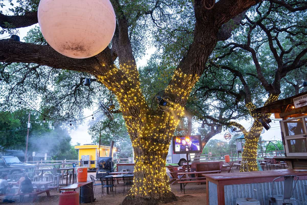 a group of trees with lights on them