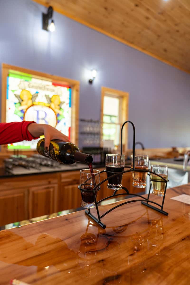 legant woman pours red wine into a glass.