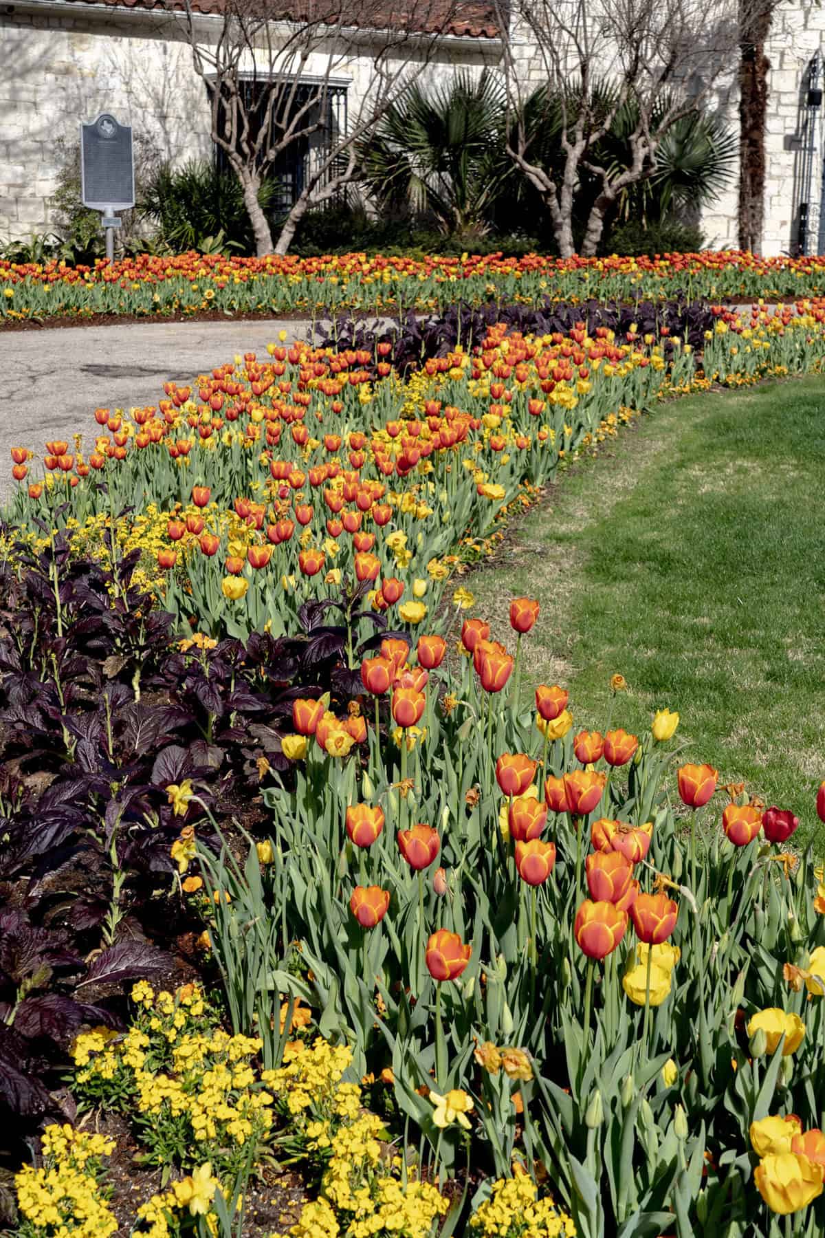 A colorful flower bed with yellow and orange flowers.