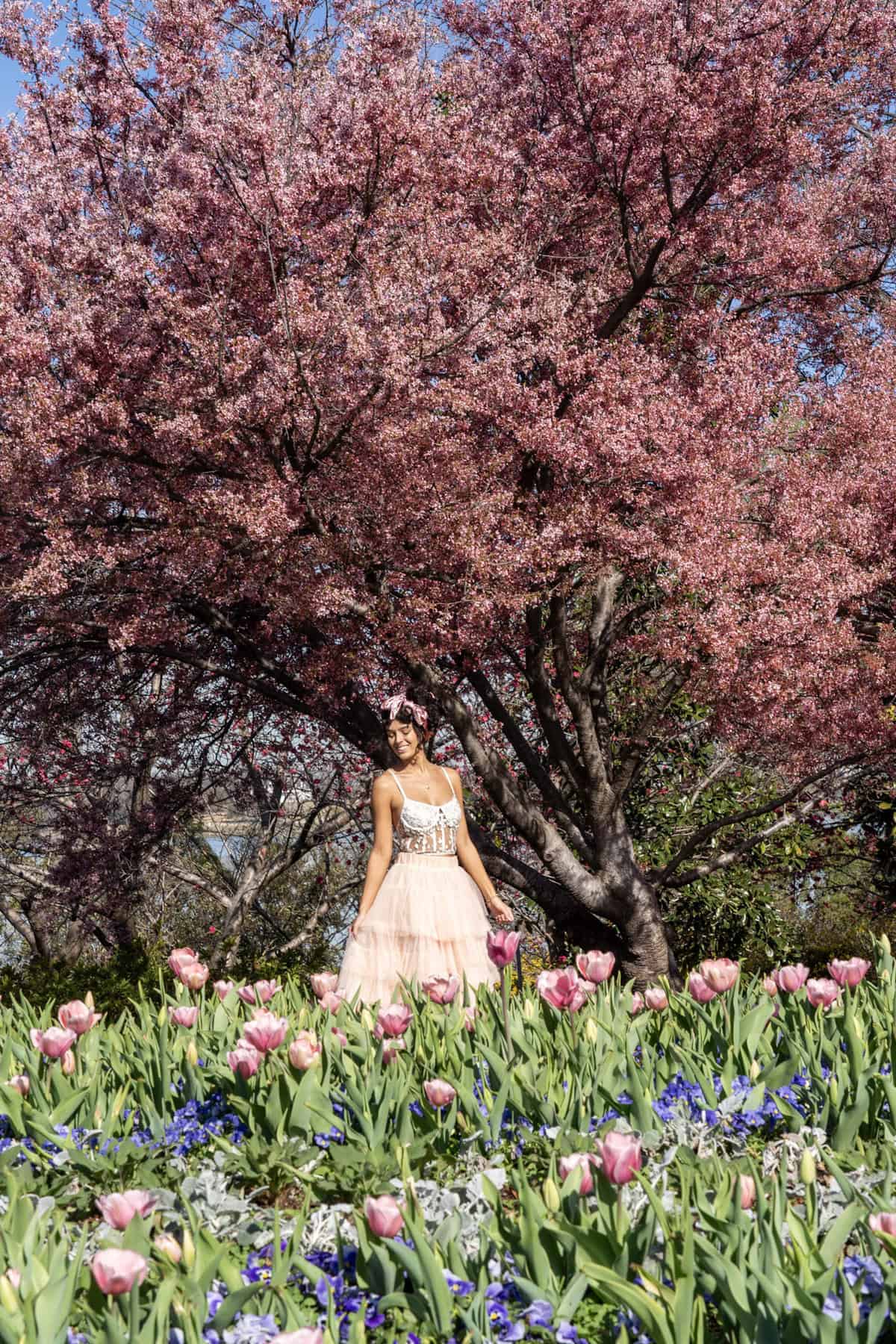 A person stands among vibrant pink tulips and blue flowers