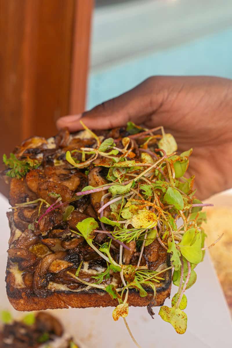 Hand holding a dish with fresh sprouts.