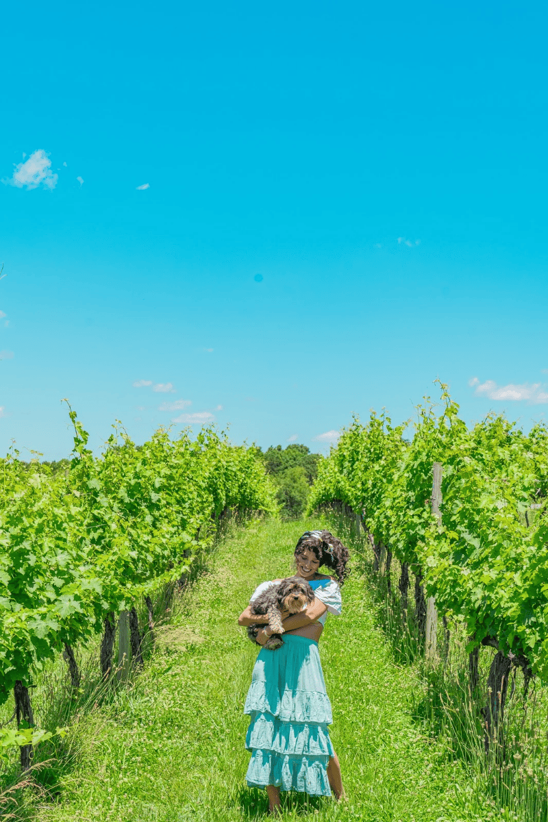 A young women with a dog in a vineyard.