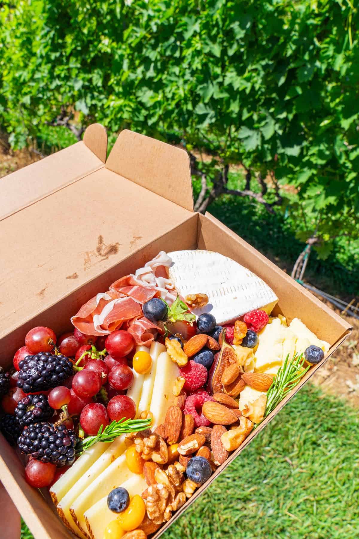 a box of food in a vineyard