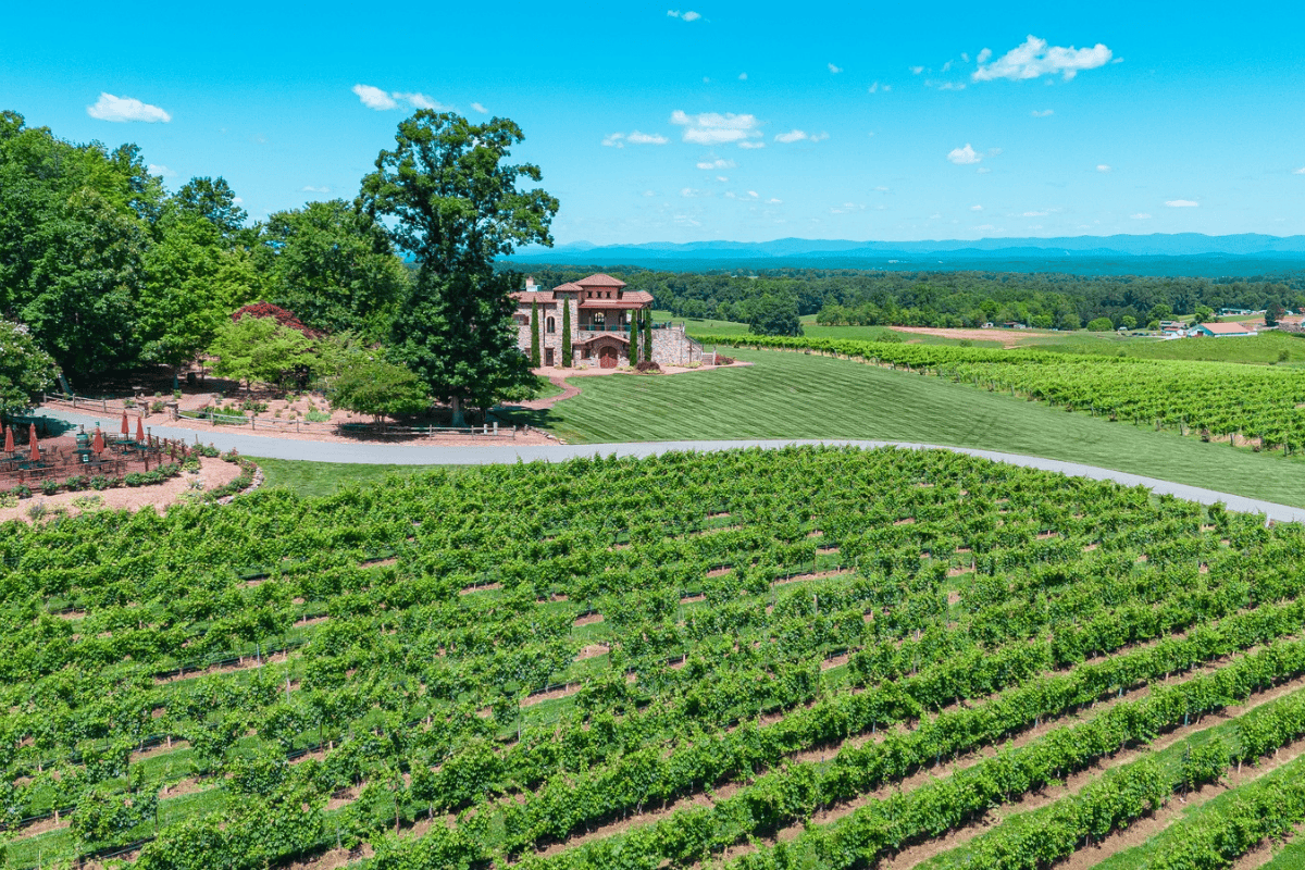 Scenic vineyard with winding road and house nestled among lush greenery.