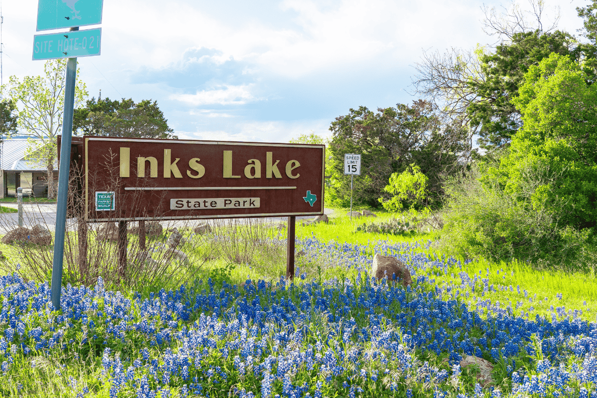 a sign in a field of blue flowers