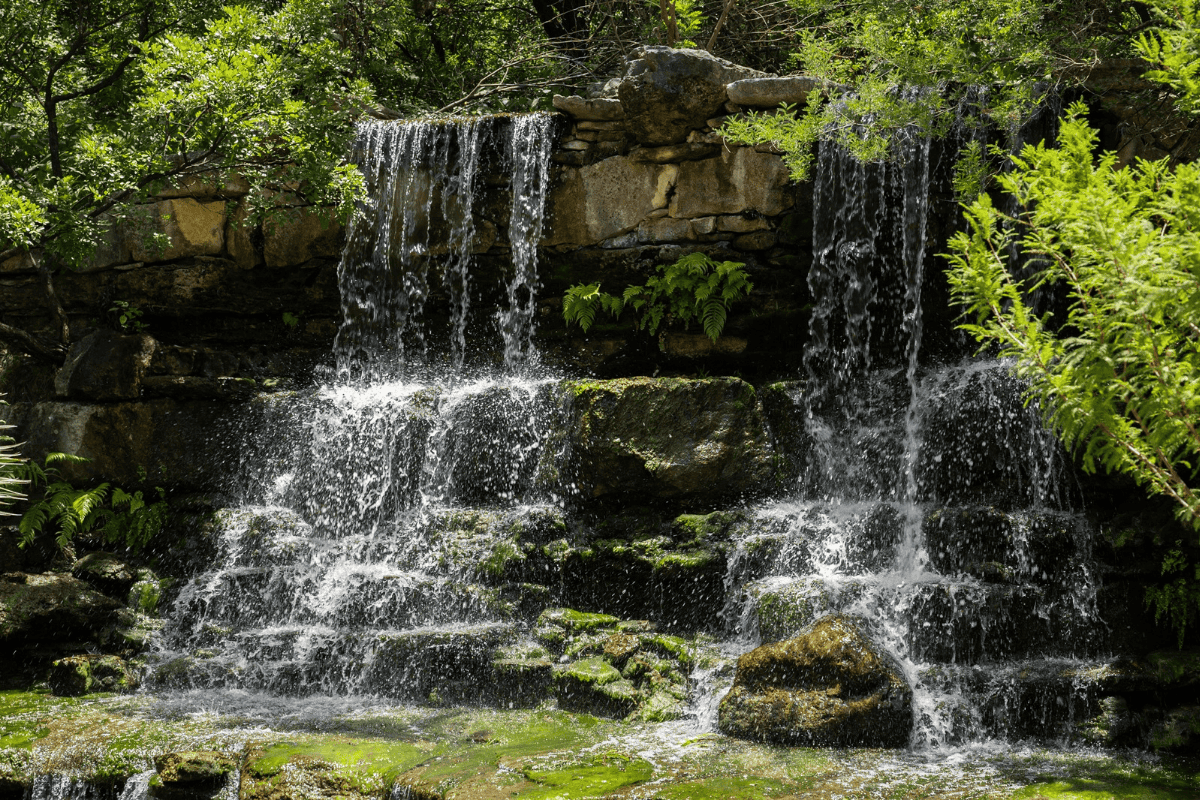 a waterfall with trees and plants