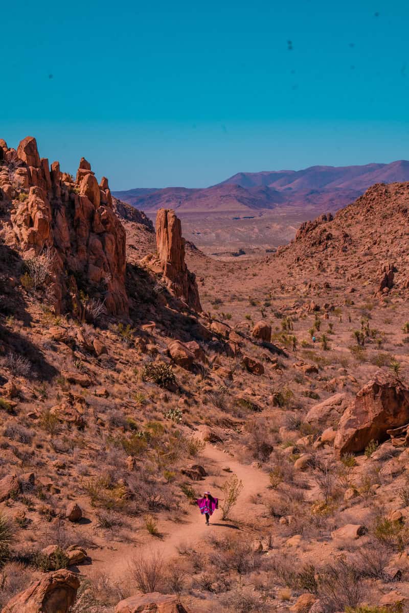 A hiker in a pink jacket on a desert trail