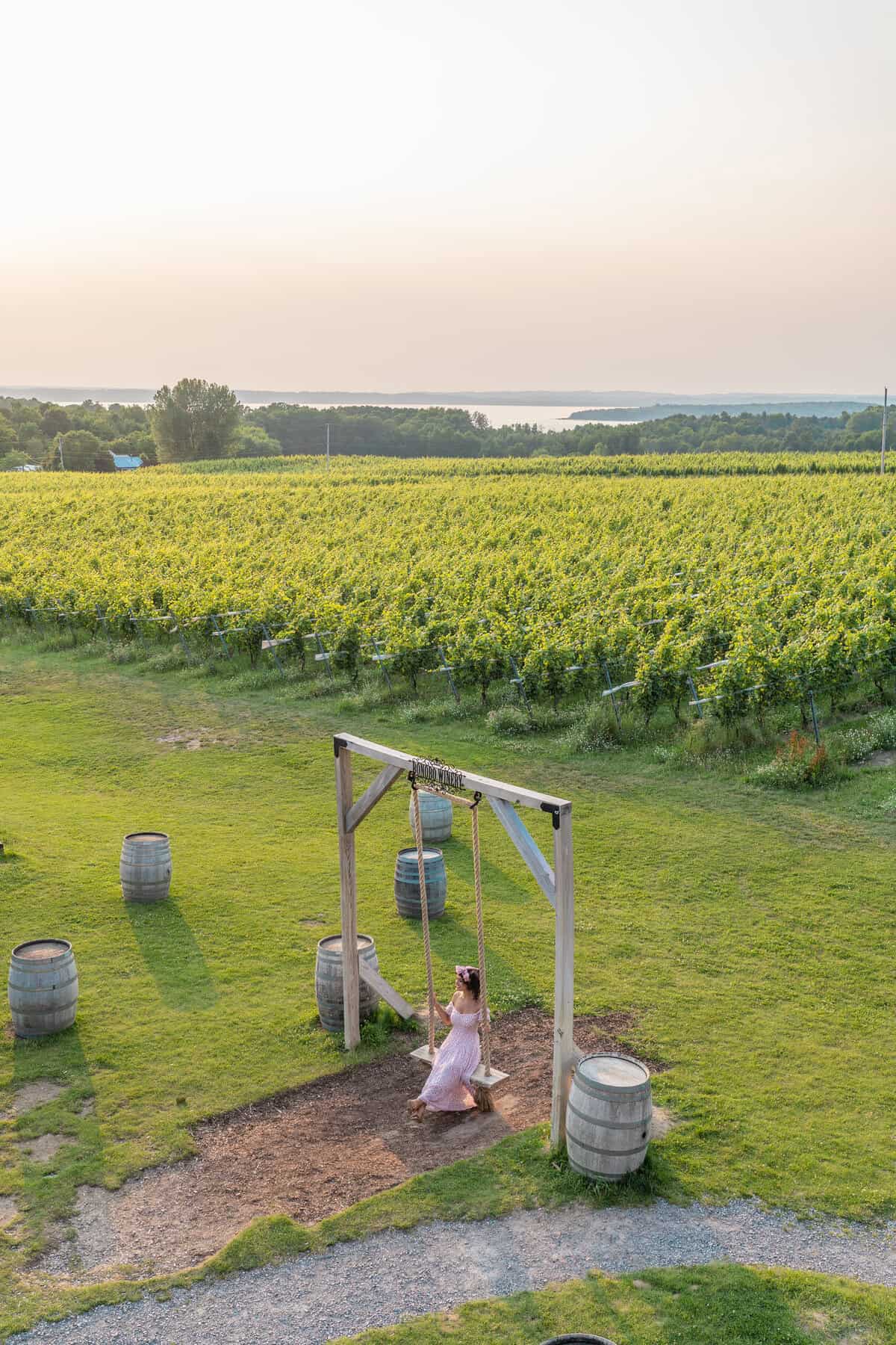 Person on a swing overlooking vineyards at sunset.