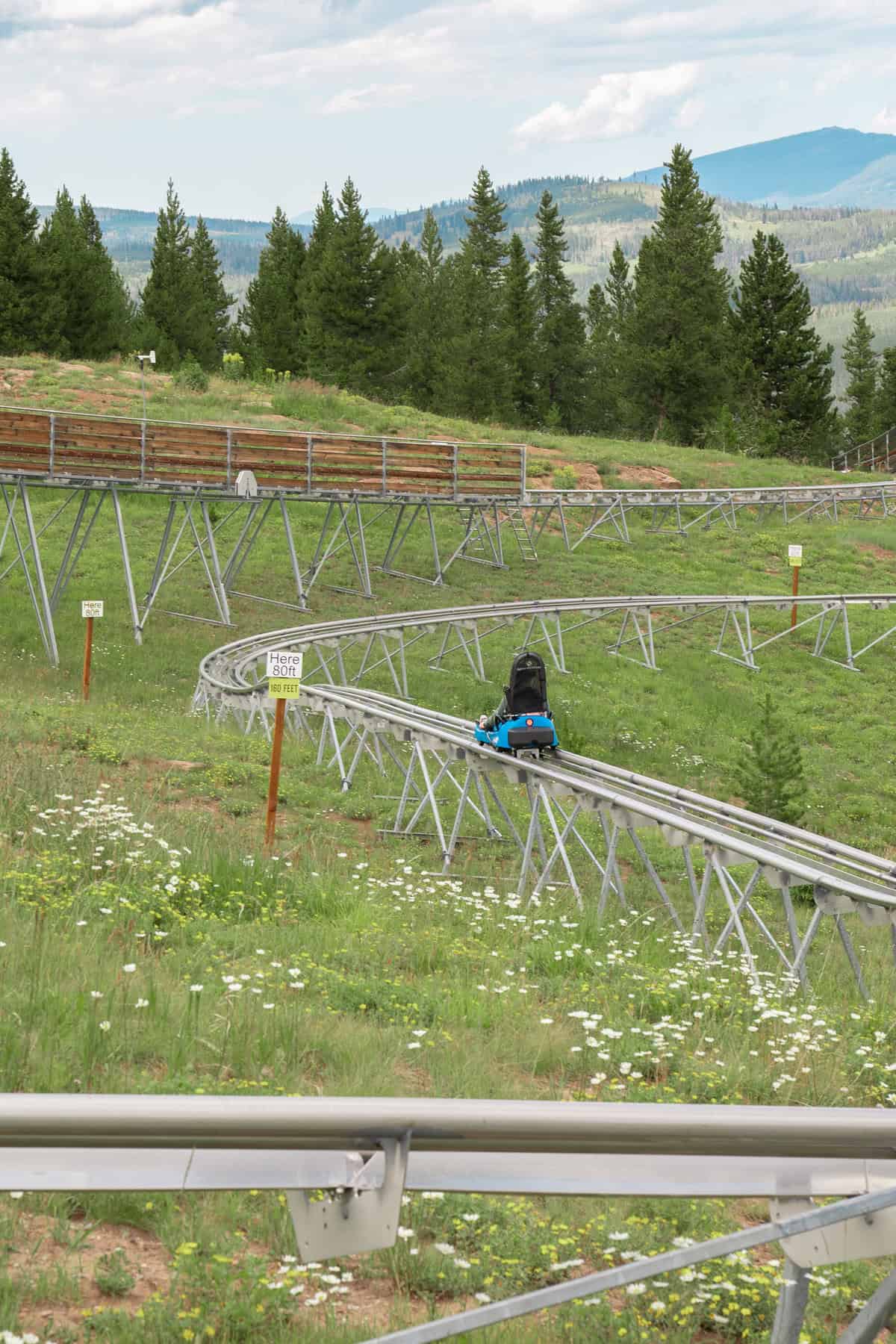 Mountain coaster track winding through a green hillside