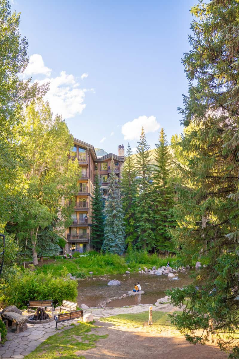 Rustic building surrounded by lush trees