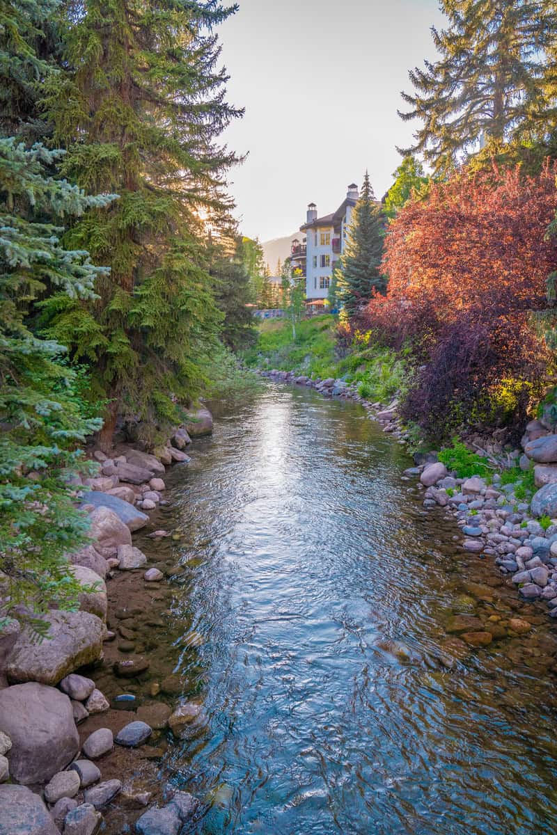 A serene river flanked by trees and rocks