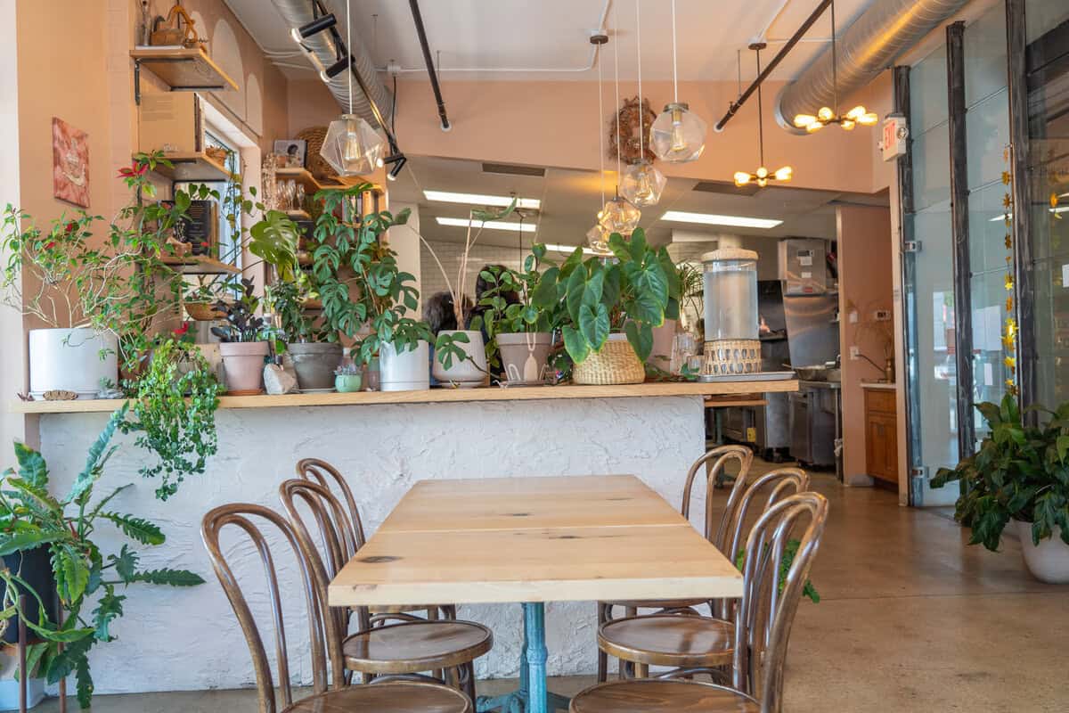 Cozy cafe interior with a wooden table, bentwood chairs, and lush plants on shelves.