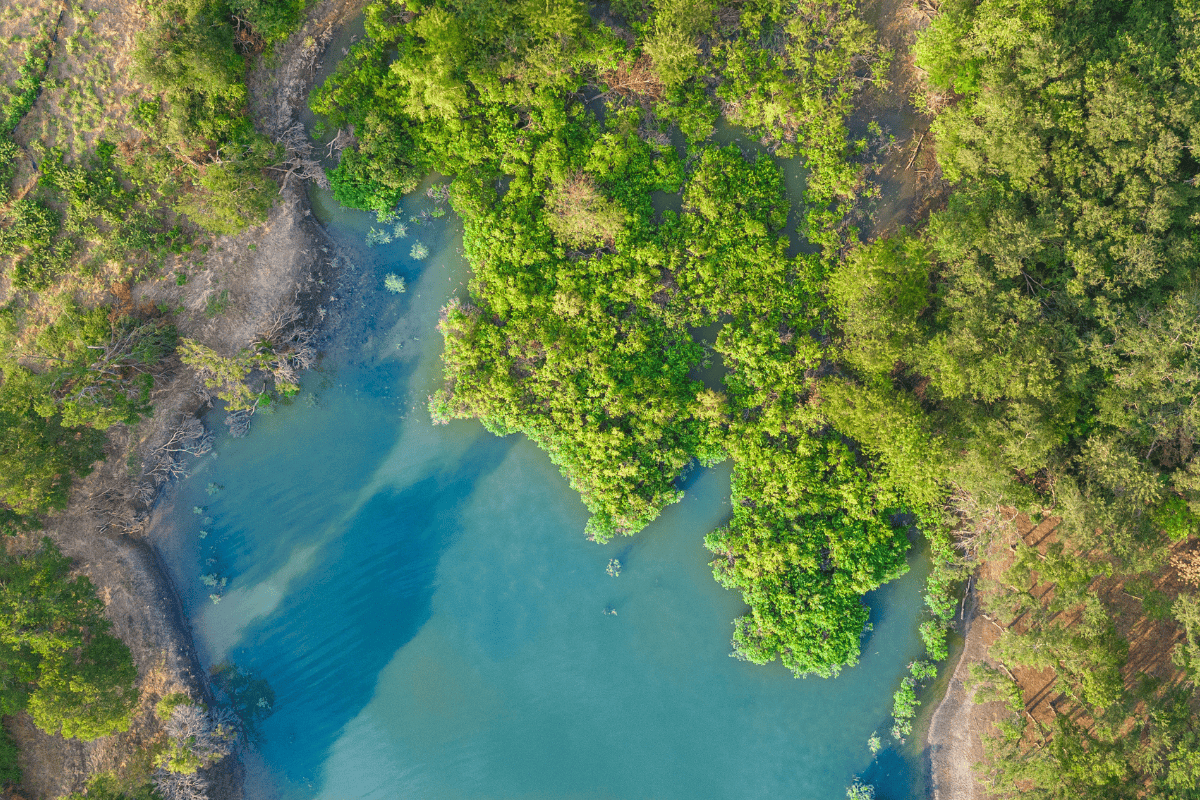 Aerial view of a winding river surrounded by lush greenery