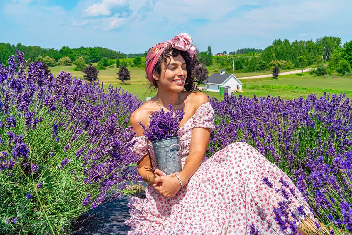 A person in a floral dress holding a bucket sits amidst a vibrant lavender field.