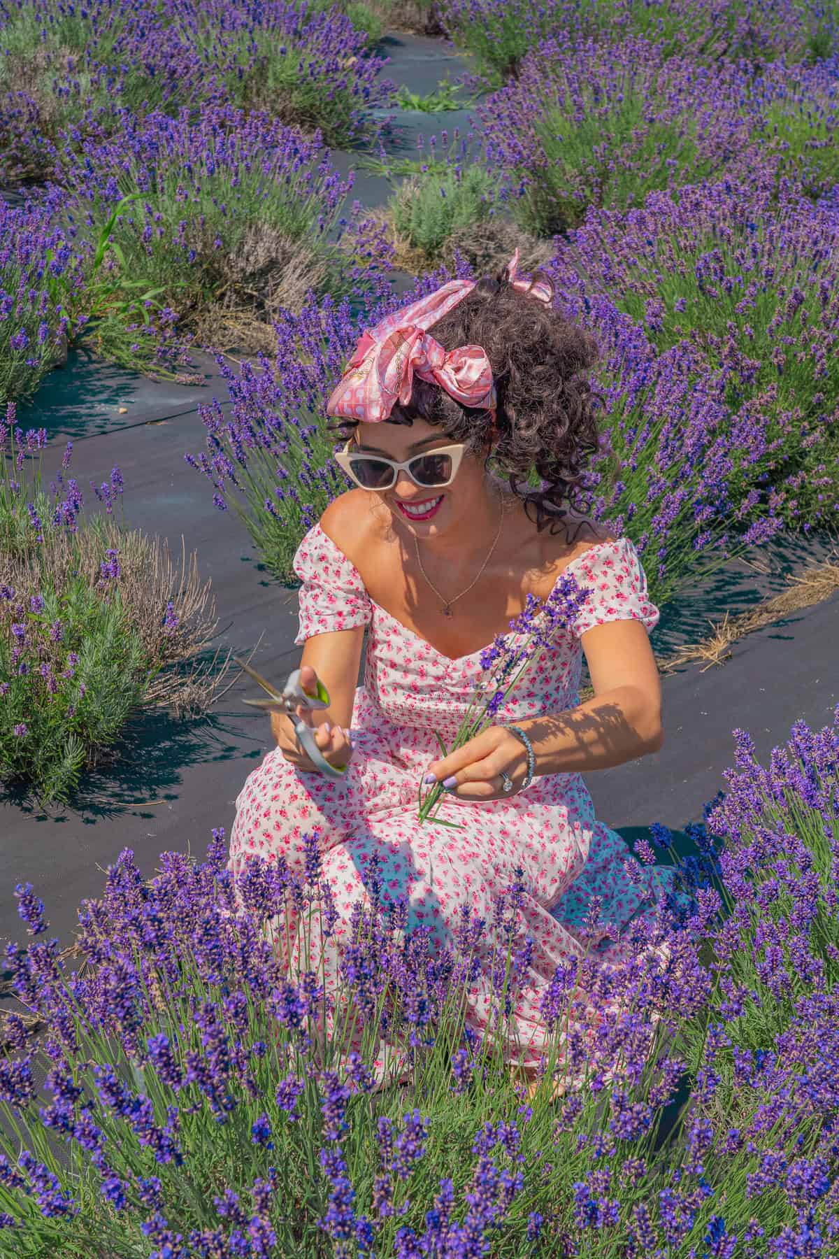 Person in a floral dress sitting among purple lavender flowers.