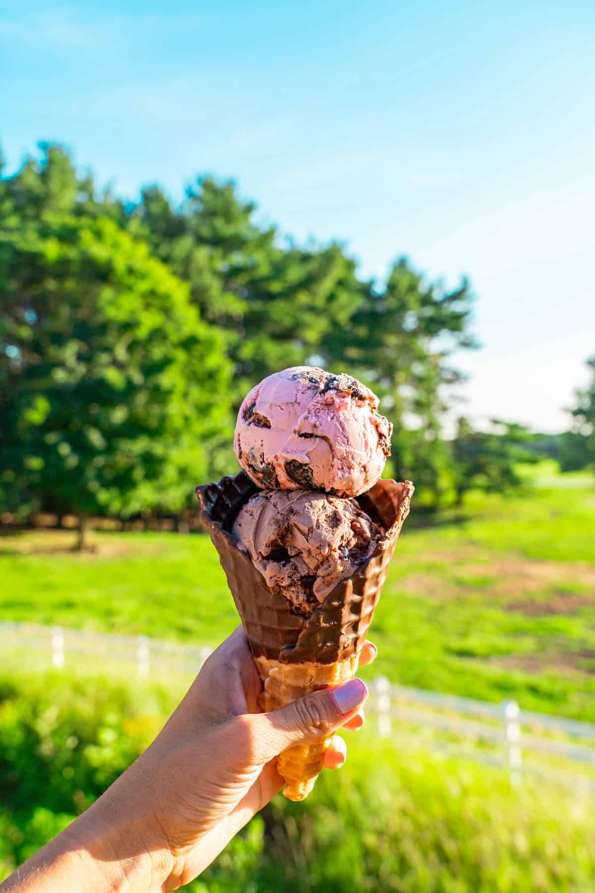 Hand holding a chocolate ice cream cone outdoors with trees and a white fence in the background.